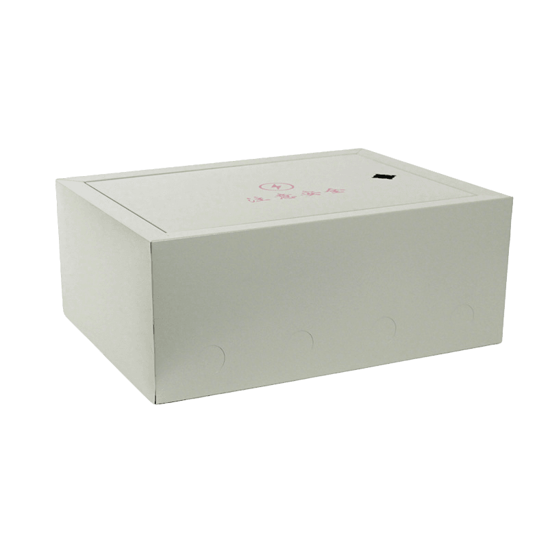 Surface-Mounted Domestic Distribution Box - Image 2